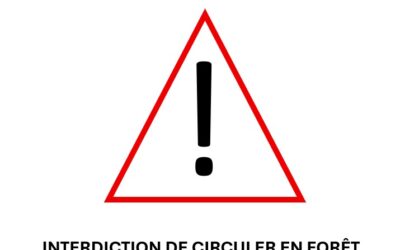 Interdiction de circuler en forêt